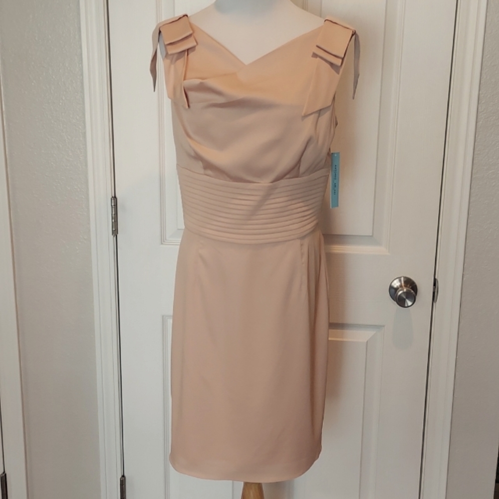 NWT Antonio Melani Size 6 Dress
